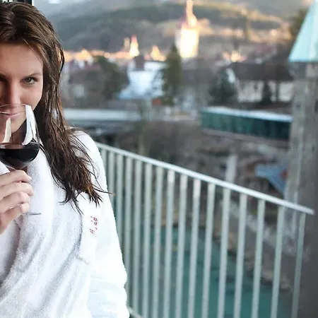 فندق Schloss An Der Eisenstrasse وایدهوفن آن در یبس